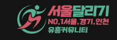 서울달리기