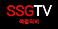섹걸티비