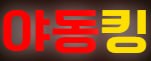 야동킹